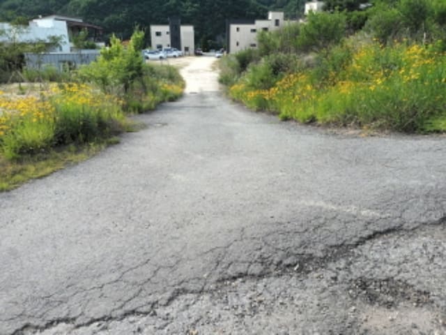 B000280202401301108213.jpg