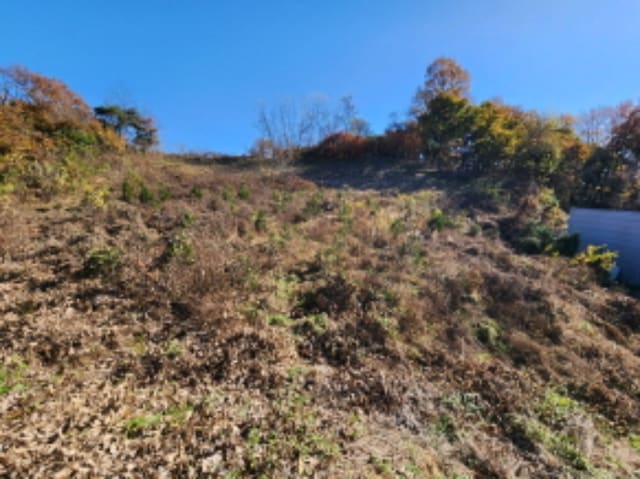 B000280202401301212724.jpg