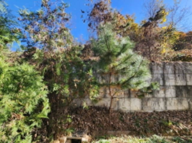 B000280202401301212723.jpg