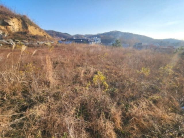 B000280202401301223434.jpg
