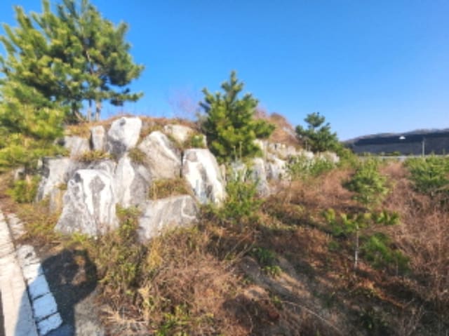B000280202401301223433.jpg