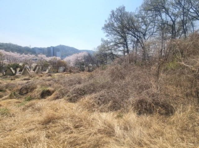 B000280202501300026994.jpg