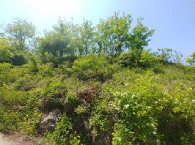B0002802025013000285914.jpg