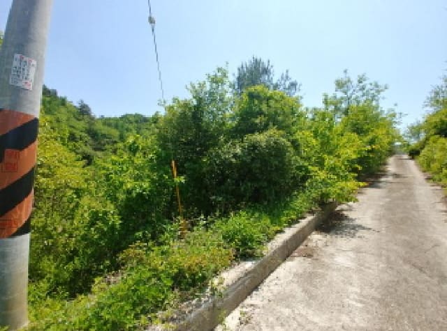 B0002802025013000285913.jpg