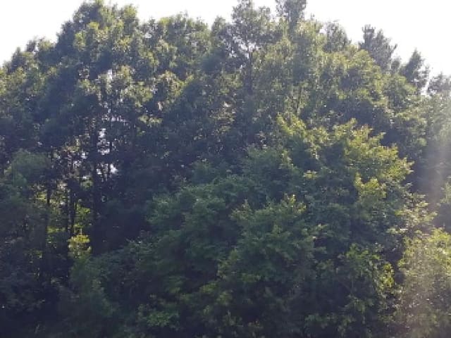 B000280202501300036164.jpg
