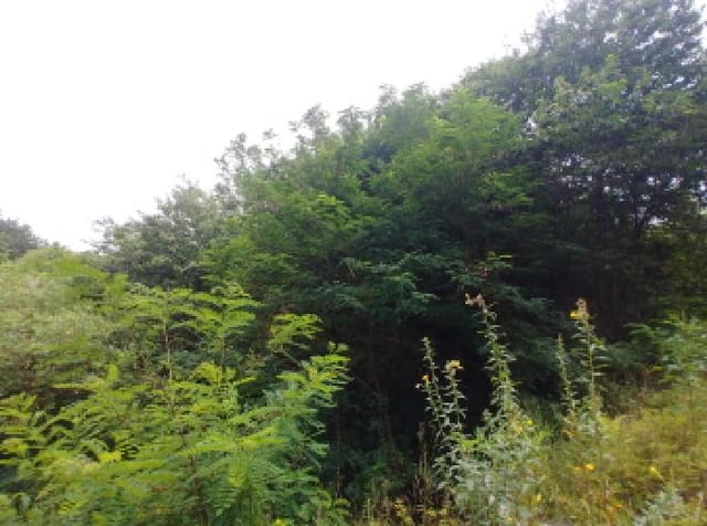 B0002802025013000371321.jpg