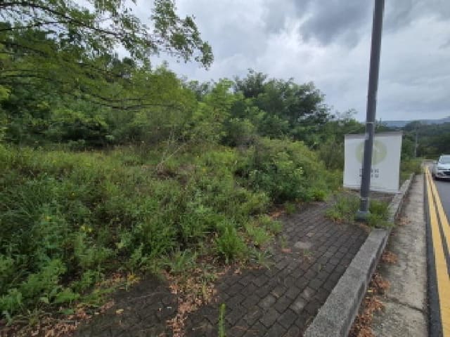 B000280202501300037192.jpg