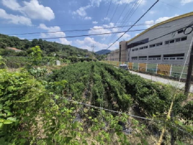 B000280202501300037433.jpg