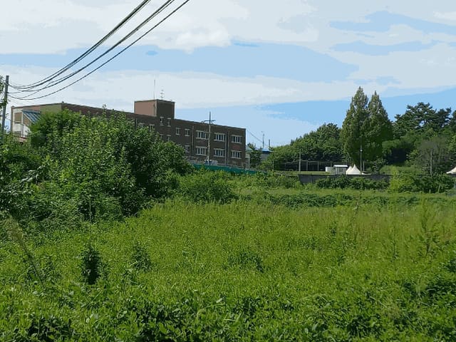 B000280202501300037724.jpg