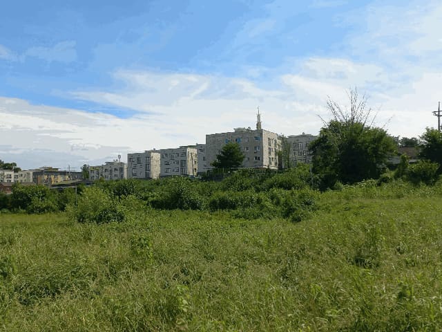 B000280202501300037722.jpg