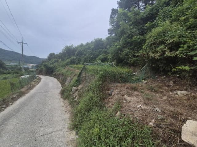 B000280202501300037981.jpg
