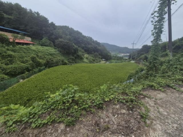 B000280202501300037984.jpg