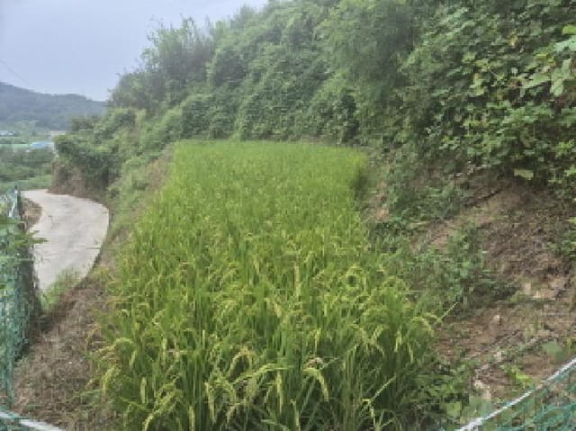 B000280202501300037983.jpg