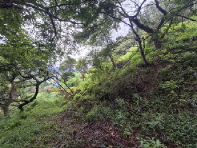 B000280202501300038036.jpg