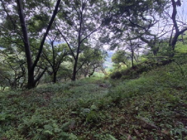 B000280202501300038034.jpg