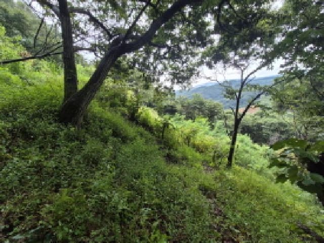 B000280202501300038032.jpg