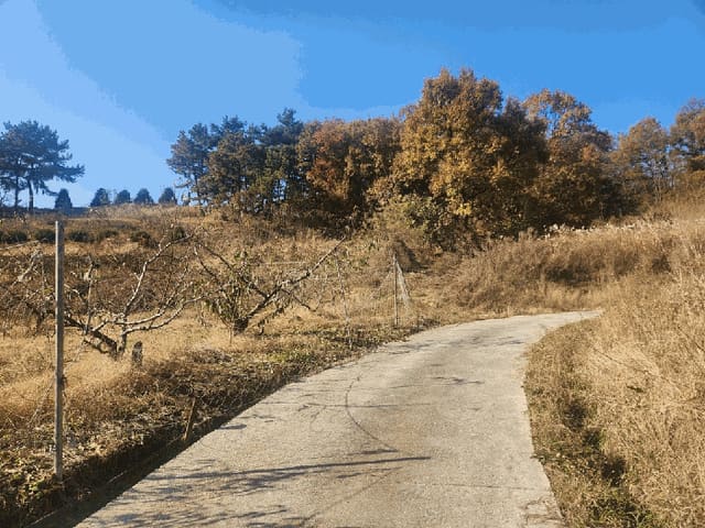 B000280202501300038242.jpg