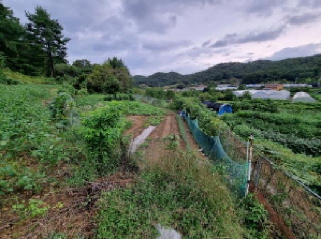 B000280202501300038431.jpg