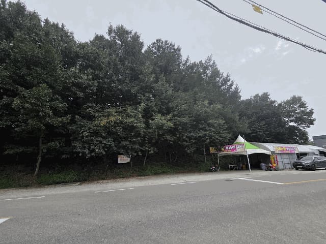 B000280202501300038582.jpg