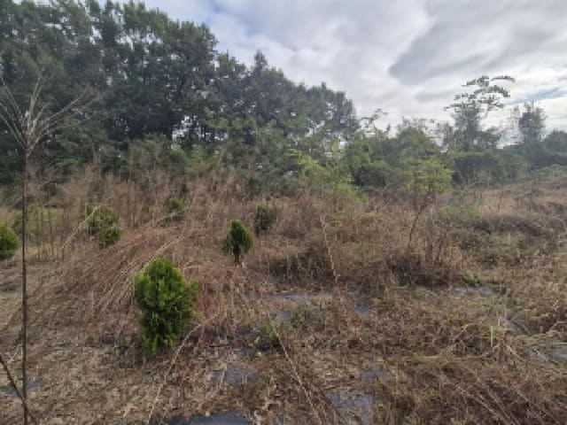 B000280202501300039084.jpg