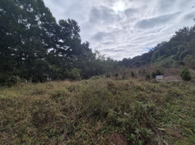 B000280202501300039081.jpg