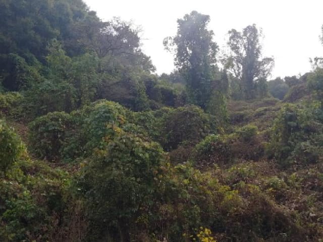 B000280202501300039222.jpg