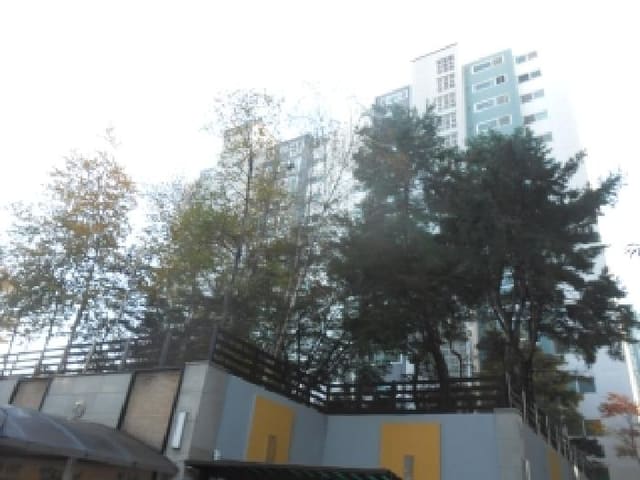 B000280202501300039311.jpg