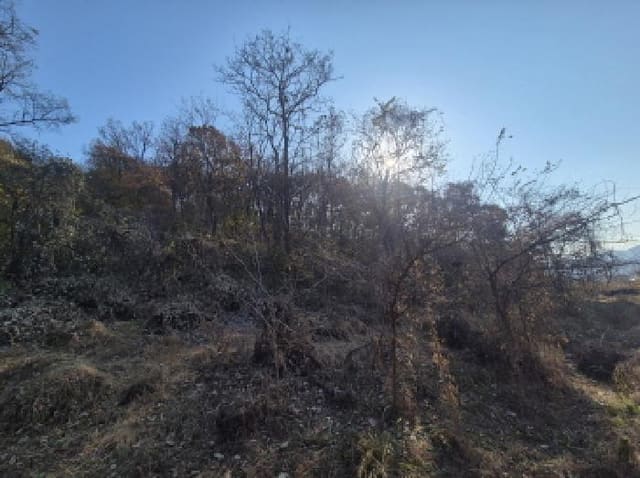 B000280202501300039681.jpg