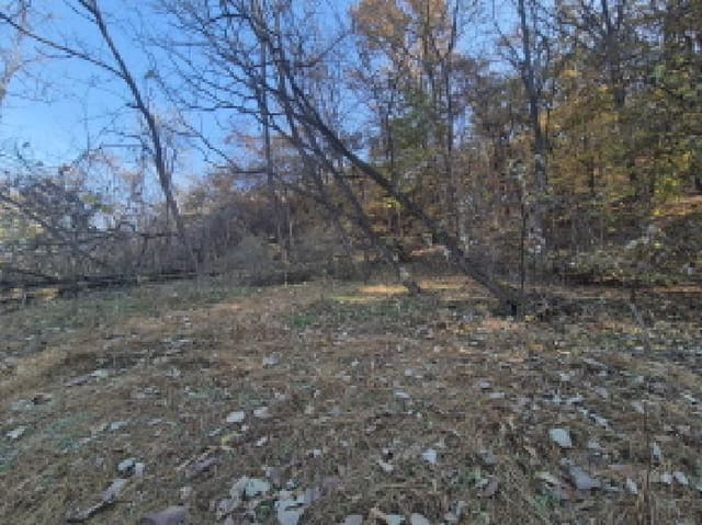 B000280202501300039682.jpg