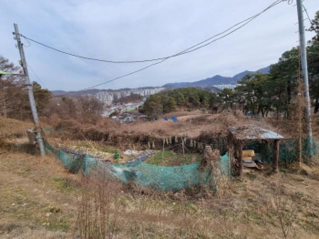 B000280202501300040351.jpg