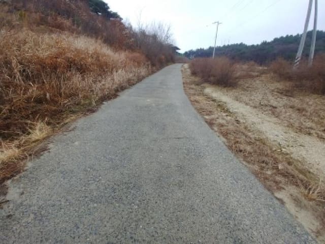B000280202501300040452.jpg