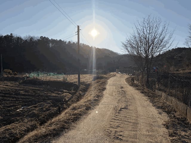B000280202501300040625.jpg