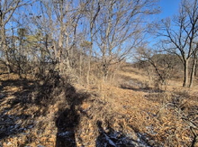 B000280202501300040672.jpg