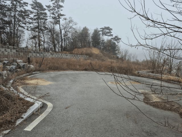 B000280202501300040814.jpg