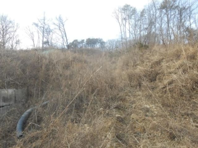 B000280202501300040871.jpg