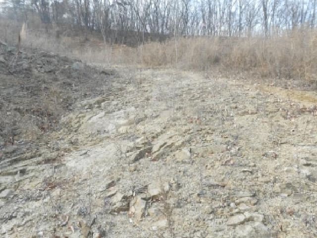 B000280202501300040873.jpg