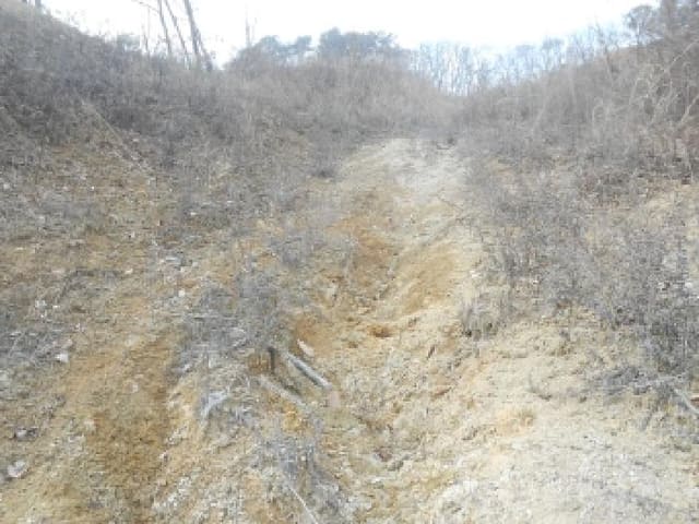 B000280202501300040872.jpg