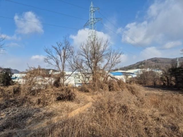 B000280202501300040884.jpg