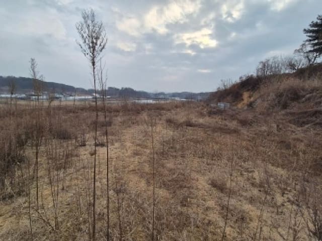 B000280202501300040894.jpg