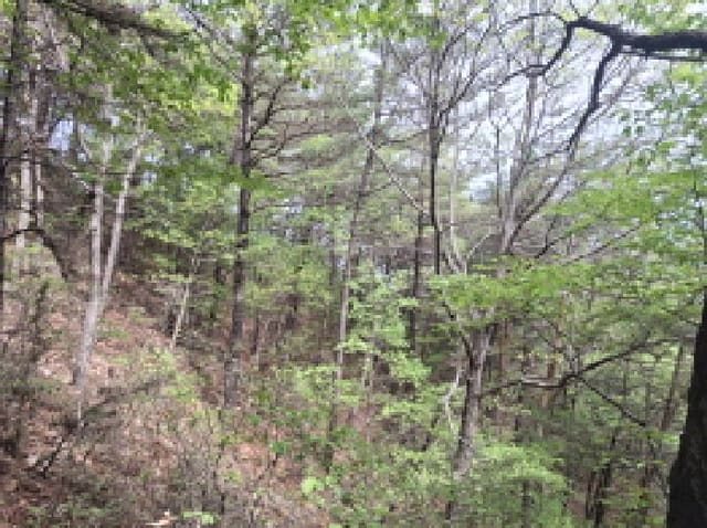 B000280202501305021213.jpg