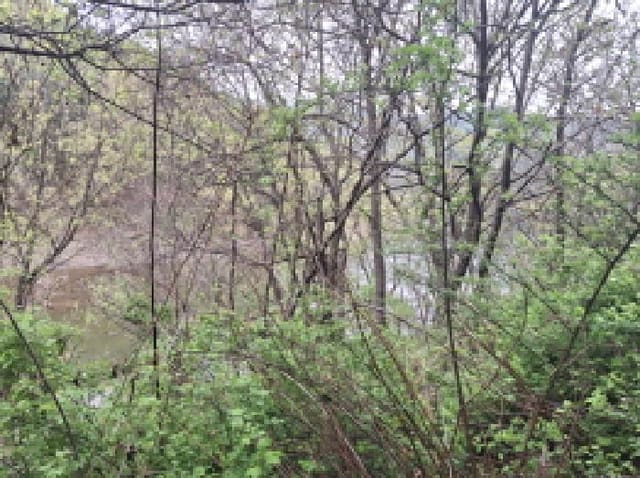 B000280202501305021212.jpg