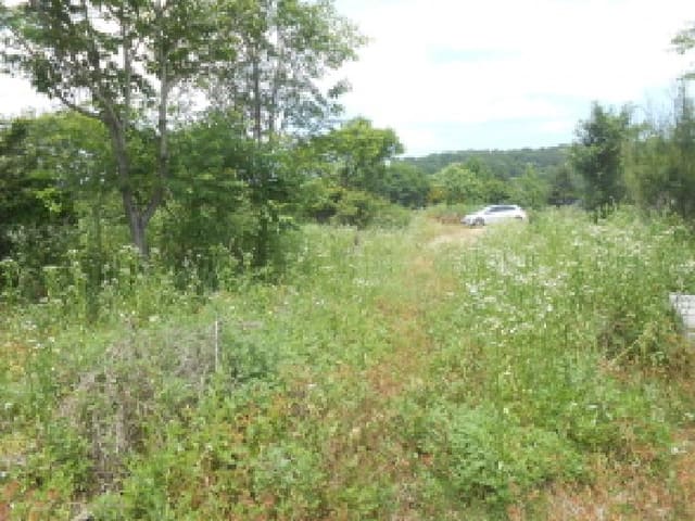B000280202501305021532.jpg