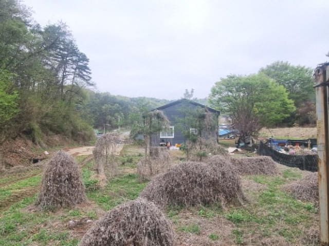 B000280202501305021582.jpg