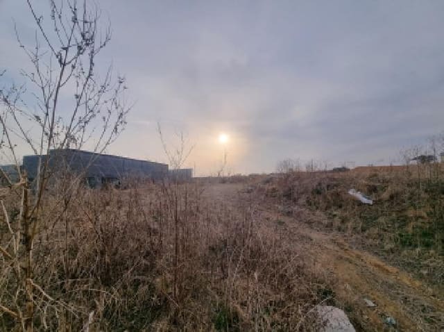 B000280202501305021981.jpg