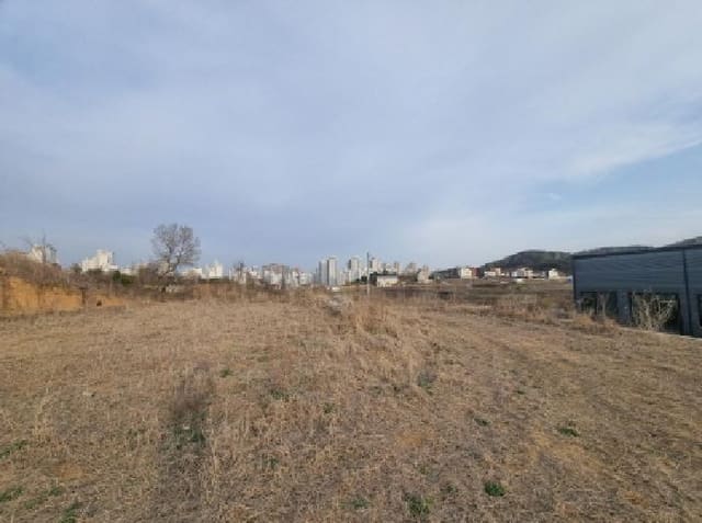 B000280202501305021982.jpg