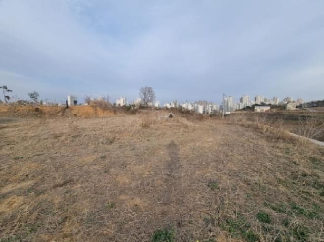 B000280202501305021983.jpg