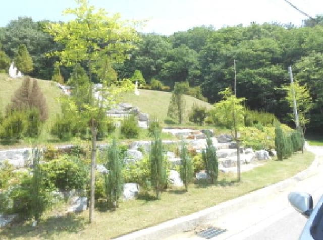 B000280202501305023493.jpg