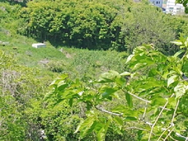 B000280202501305024044.jpg