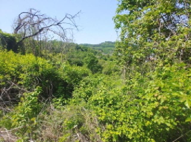 B000280202501305024043.jpg