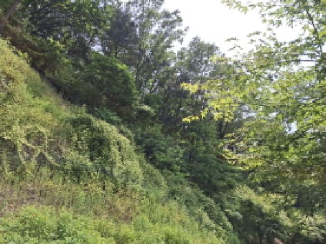 B000280202501305025142.jpg